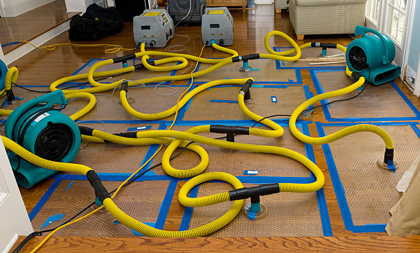 Professional Burst Pipe Water Damage technician working in Elkhart, KS